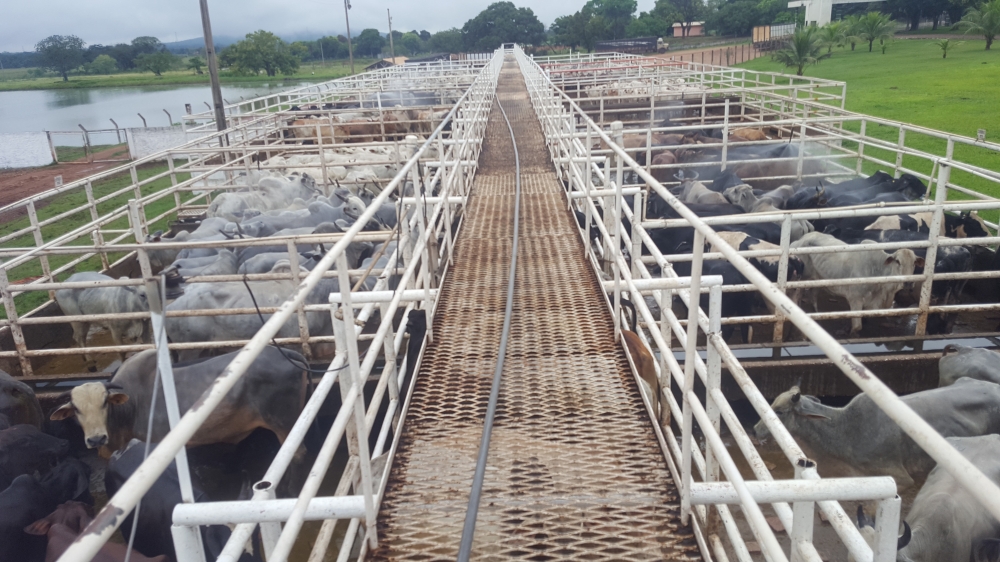 Cobrana de Funrural inviabilizaria pecuria em Mato Grosso